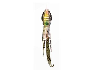 ルミカ プニラバ 40g