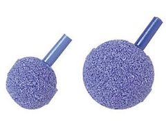 ダイトウブク ストーンのみ（ヘッダーなし） L 30mm