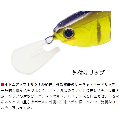 BOTTOMUP(ボトムアップ)　REAZZY