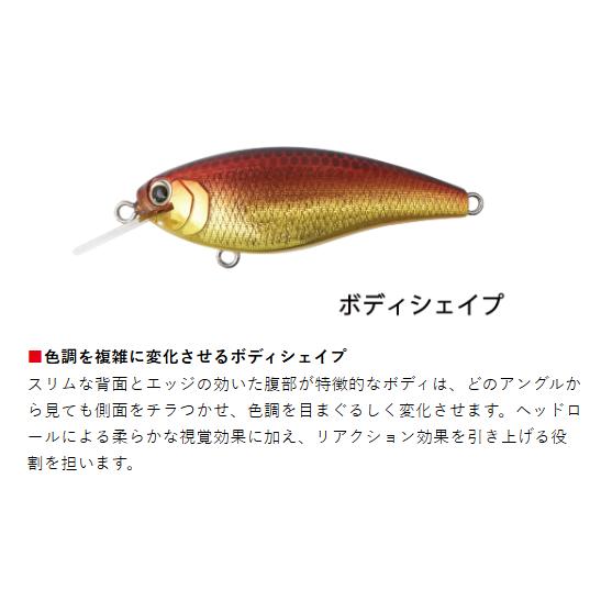 BOTTOMUP(ボトムアップ)　REAZZY