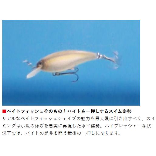 BOTTOMUP(ボトムアップ)　REAZZY