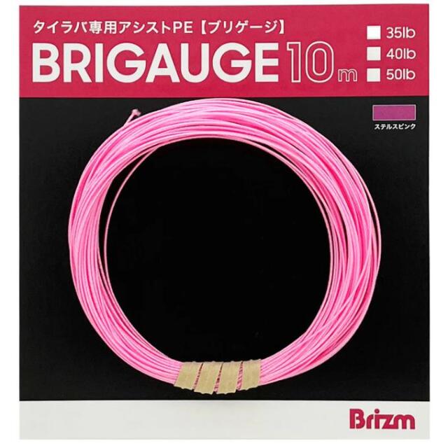 ブリズム（Brizm）ブリゲージ タイラバ用 PEアシストライン 中芯入 10m