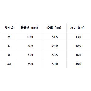 ダイワ(Daiwa)　DE-3925 Feel Alive. ドライTシャツ　ライトグレー