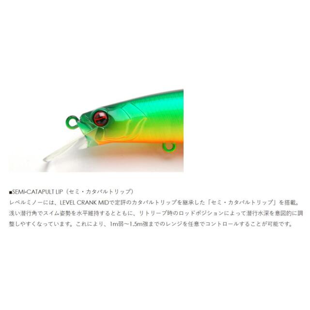 レイドジャパン（RAID JAPAN）LEVEL MINNOW