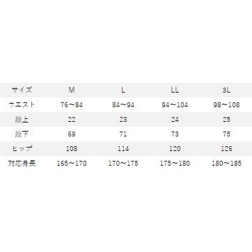 RBB(アールビービー) 7671 RBB プロテクトアンダータイツ