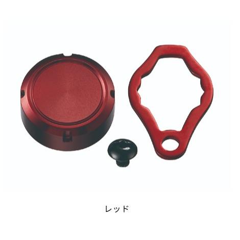 SLP WORKS(スポーツライフプラネッツ) STEEZ オイルインジェクションキャップ ゴールド