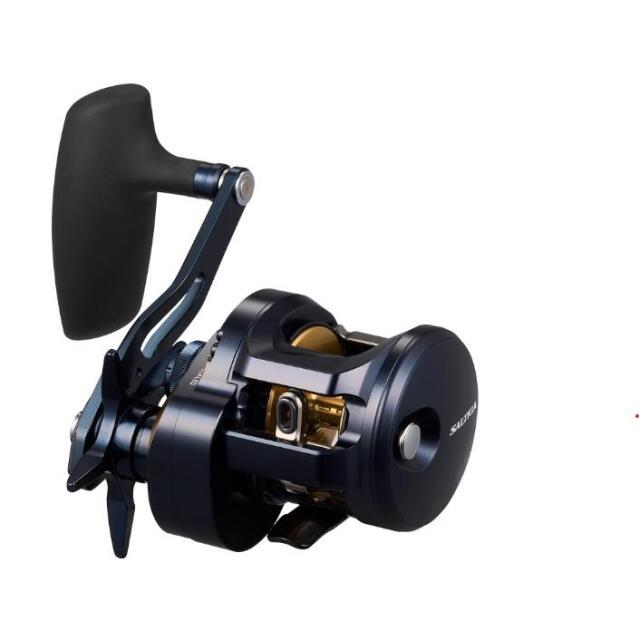ダイワ(Daiwa) 25ソルティガ 300