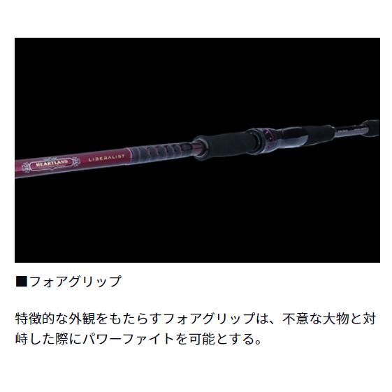 ダイワ(Daiwa) ハートランド リベラリスト ７６３ＭＬＲＳＳ－２４