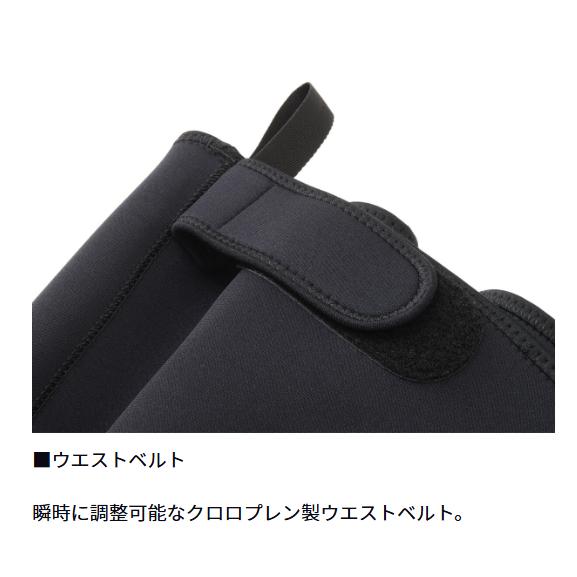 ダイワ(Daiwa) DSW-4202VR（先丸中割） ダイワスリムウェーダー ブラック