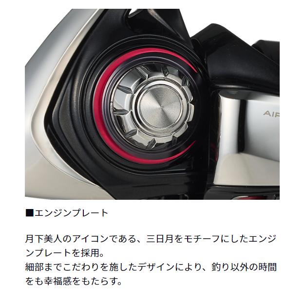ダイワ(Daiwa) 24月下美人X LT1000S-P