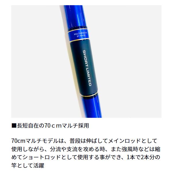 ダイワ(Daiwa) 24 銀影エア SHORT LIMITED MT 87M