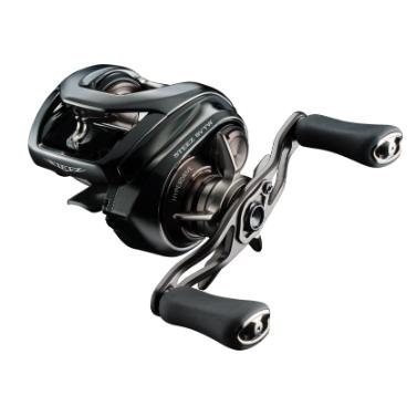 ダイワ(Daiwa) 24 スティーズ SV TW 100L