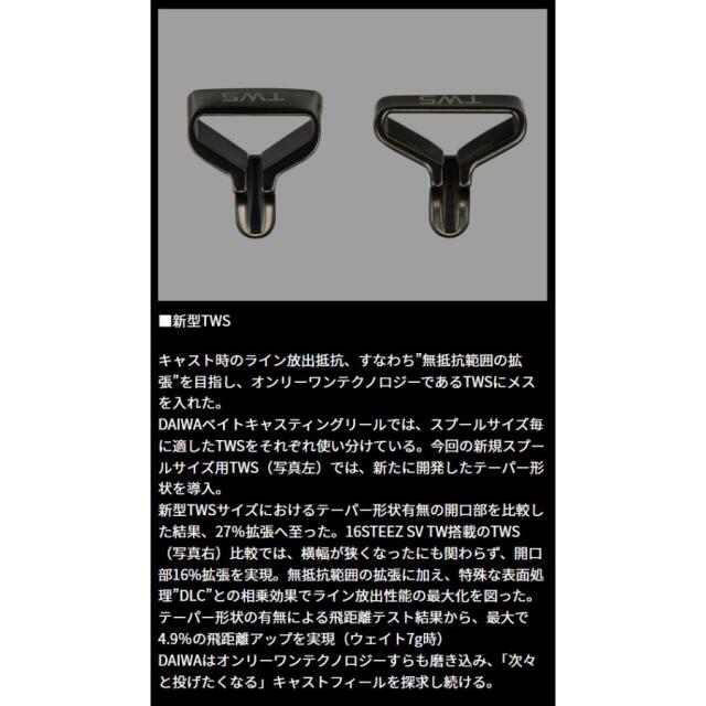 ダイワ(Daiwa) 24 スティーズ SV TW 100XH