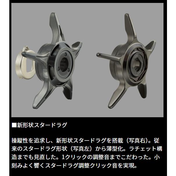 ダイワ(Daiwa) 24 スティーズ SV TW 100XH