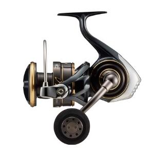 ダイワ(Daiwa) 22 カルディアSW 8000-P