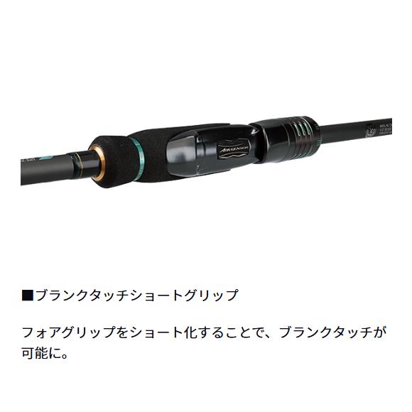 ダイワ(Daiwa) エメラルダス ストイスト ST 65M TG