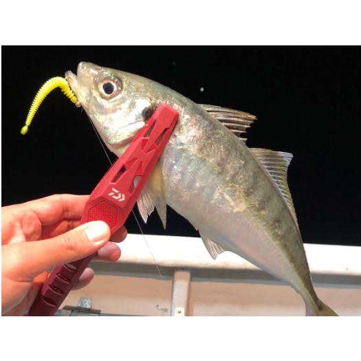 ダイワ(Daiwa) フィッシュホルダーライト200