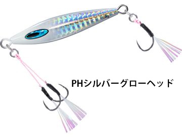 ダイワ(Daiwa) ソルティガ・FKジグTG SLJ