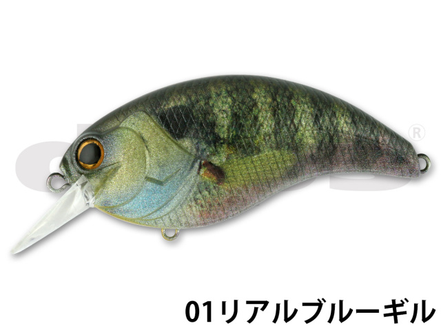 デプス(Deps)　EVOKE 4.0