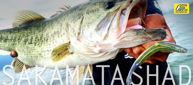 デプス(Deps) サカマタシャッド