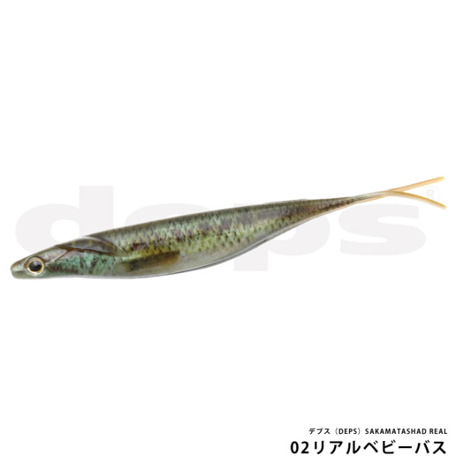 デプス（DEPS）SAKAMATASHAD REAL