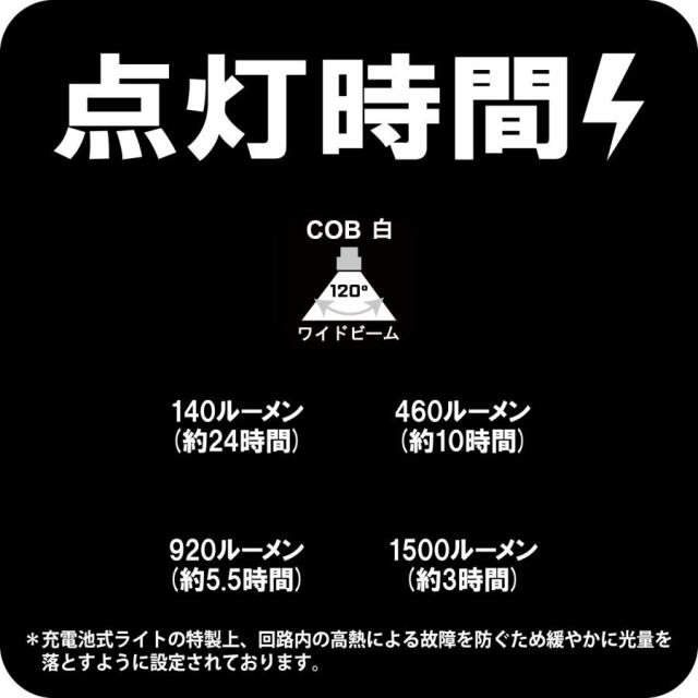 がまかつ(Gamakatsu) フラッドライト LEFL1502C