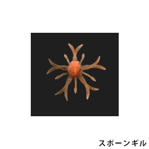 ジャッカル(JACKALL)　キングジミーヘンジミディアム