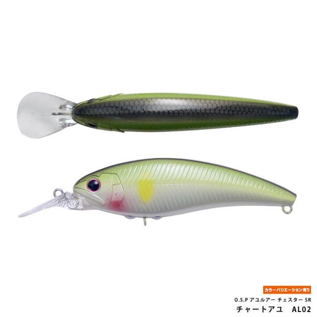 O.S.P アユルアー チェスター SR