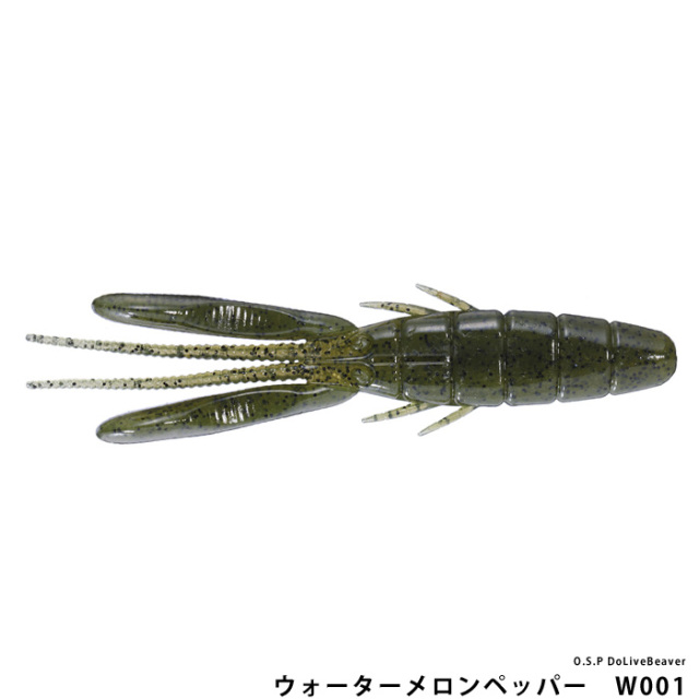 O.S.P  DoLiveBeaver