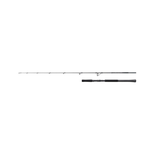 シマノ(SHIMANO) 25 ソルティーアドバンス オフショアモデル JIG S60-4