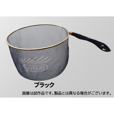 鮎タモ フィッシング トライ