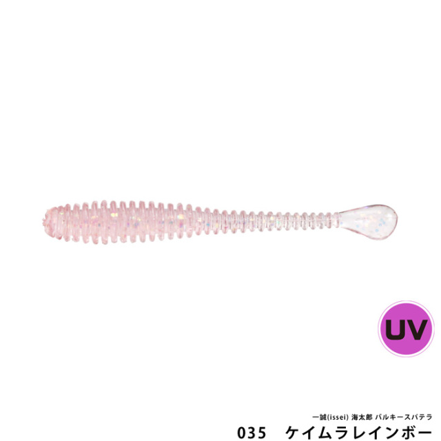 一誠(issei) 海太郎 バルキースパテラ