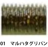 ザップ（ZAPPU）フィッシュマグネット　マガテール