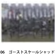 ザップ（ZAPPU）フィッシュマグネット　マガテール