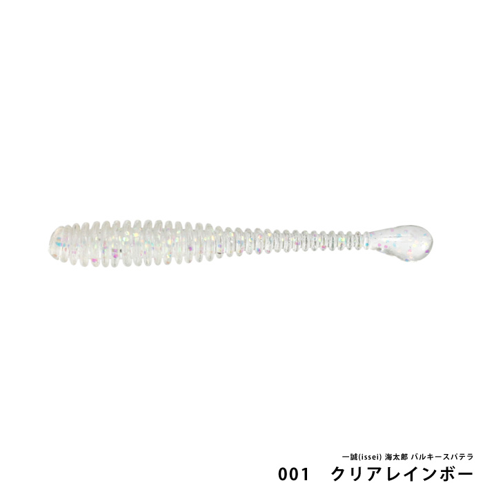 一誠(issei) 海太郎 バルキースパテラ