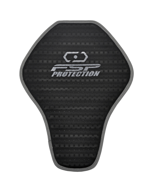 FSP-100 |