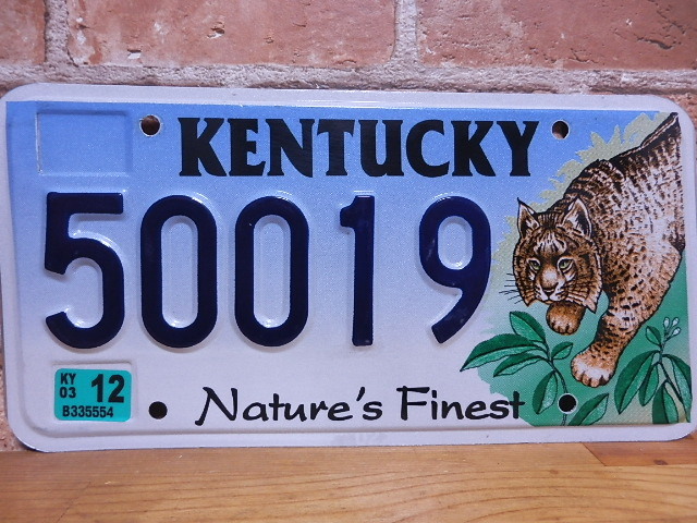 USEDナンバープレート　ケンタッキー　ＫＹ