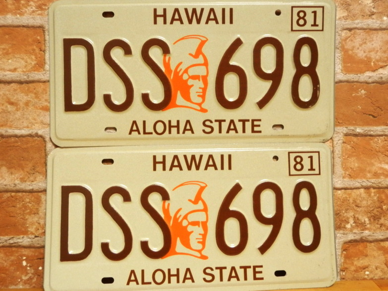 USED  ペアプレート　ハワイw　ＨＩ