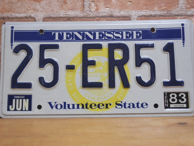 USEDナンバープレート　テネシー　ＴＮ