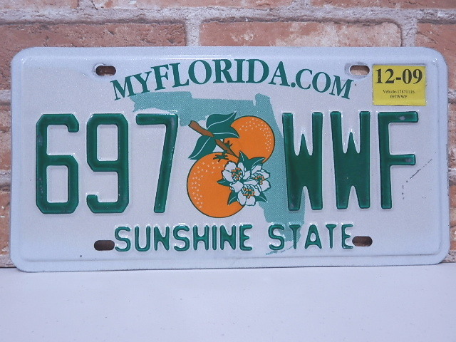 USEDナンバープレート　フロリダ　FL
