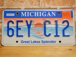 USEDナンバープレート　　ミシガン　ＭＩ