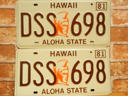 USED  ペアプレート　ハワイw　ＨＩ