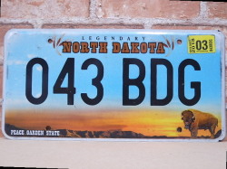 USEDナンバープレート　ノースダコタ　ＮＤ