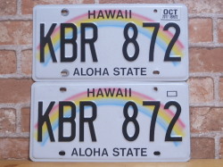 USED  ペアプレート　ハワイw　ＨＩ