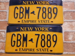 【送料無料】USEDペアプレート　ニューヨークw　NY