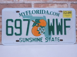 USEDナンバープレート　フロリダ　FL