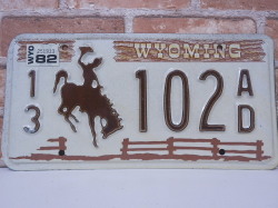 USEDナンバープレート　ワイオミング　WY