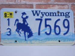 USEDナンバープレート　ワイオミング　WY