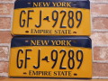 【送料無料】USEDペアプレート　ニューヨークw　NY