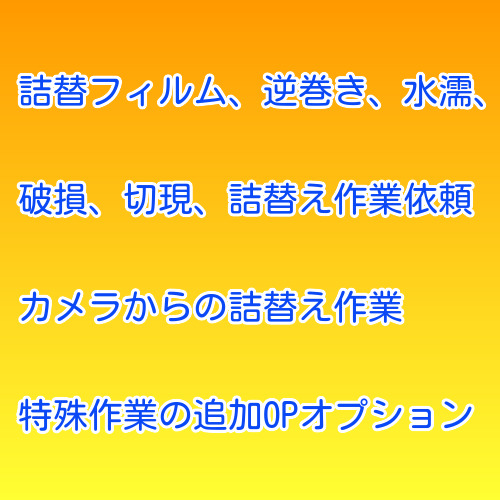 逆巻き、パトローネの潰れ、破損，切現、詰替え、ハーフ１方向などの特殊作業の追加オプション　及び受付できない場合の追加金（水没、水濡のみ700円です、２個購入して下さい）